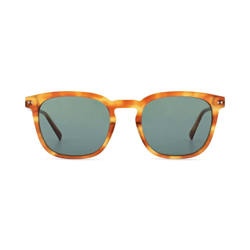morel-sun-panama-2-lunettes-de-soleil-tg04-bleu image 1